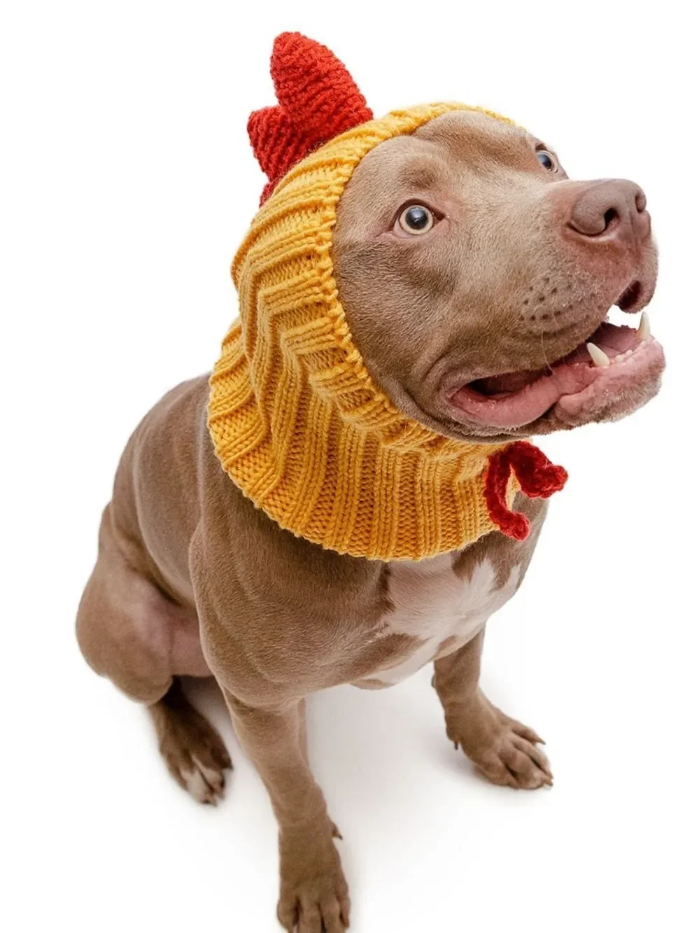 Zoo snoods - Rooster size large -New with tags